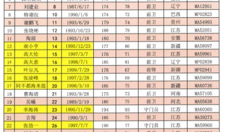 江苏苏宁球员表全览：从夺冠阵容到四散漂流，2026江苏火种重燃